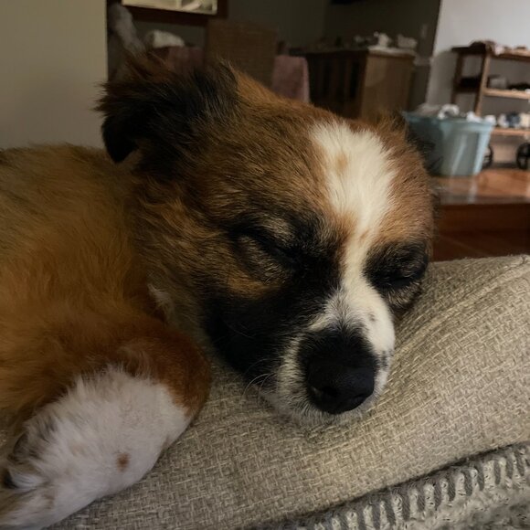 Meet your Posher, Patrice - Picture 2 of 14